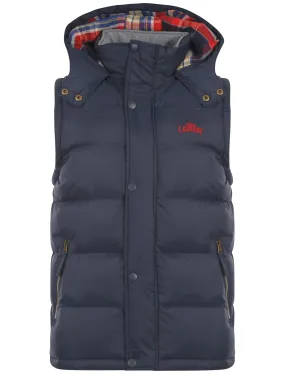 Kyber Quilted Hooded Gilet in Navy Blue - Tokyo Laundry